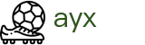 爱游戏 - ayx官方主页 - 最佳体育赛事互动平台